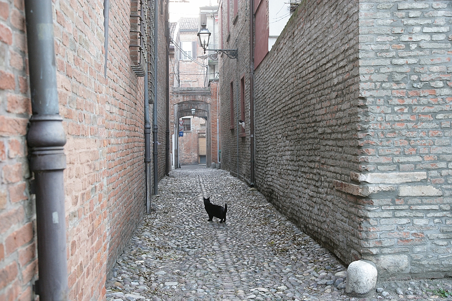 Img 240.jpg